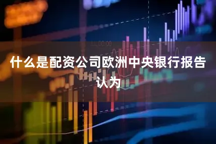 什么是配资公司欧洲中央银行报告认为